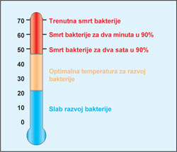 Temperaturna skala - bakterija  legionela